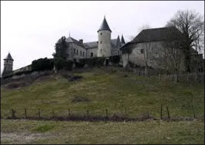 Notre première balade de la semaine commence au château d'Andert-et-Condon. Village de l'arrondissement de Belley, il se situe dans le département ...