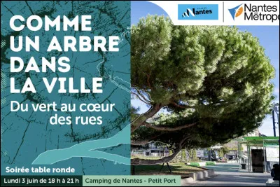 À quel chanteur doit-on le titre "Comme un arbre dans la ville" ?