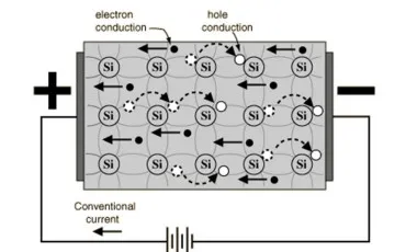 Quiz Elements