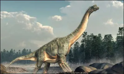 Ce dinosaure est un brachiosaure.