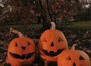 Test Que devrais-tu faire  Halloween ?