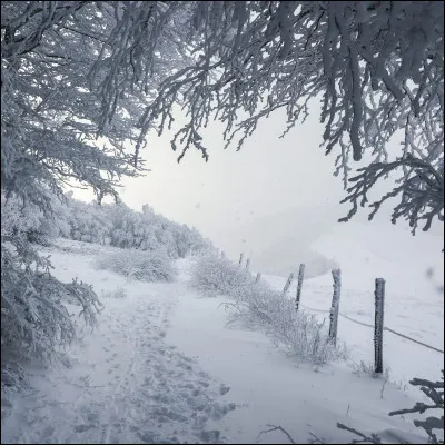 Dans l'hémisphère Nord, quelle saison est généralement la plus froide ?