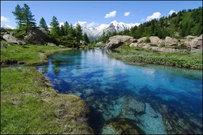 Pourquoi l'eau de la rivière se tarit-elle ?
Qui ou quoi pourrait bloquer l'eau ?