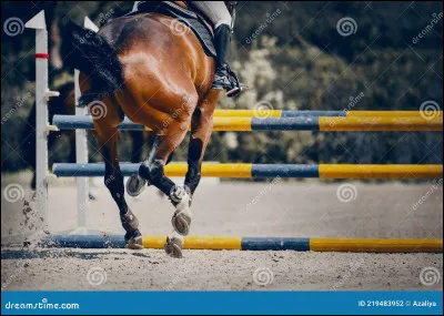 Quelle est cette étape du saut ?