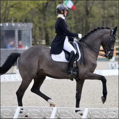 Coemment appelle-t-on la couleur du poil d'un cheval ?