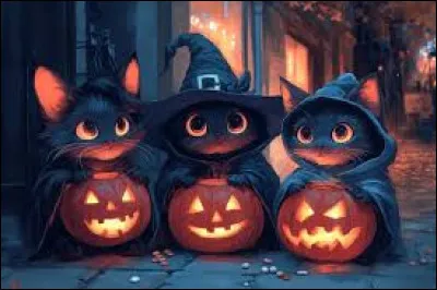 Que cherchent les enfants le soir d'Halloween ?