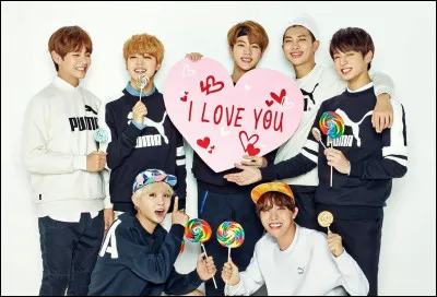 Comment appelle-t-on les fans de BTS ?