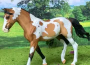 Quiz Les robes des chevaux