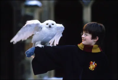 Qui est Harry Potter ?