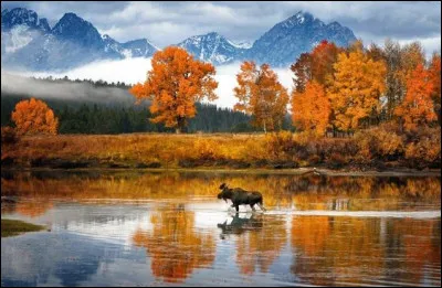 Dans le nord de l'Amérique, comment appelle-t-on la période douce et ensoleillée qui a lieu en automne, juste avant l'hiver ?