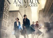 Quiz Mes personnages prfrs de la saga ''Les Animaux Fantastiques''