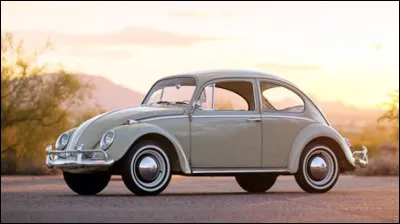 Quel insecte a donné son nom à cette voiture de la marque Volkswagen ?