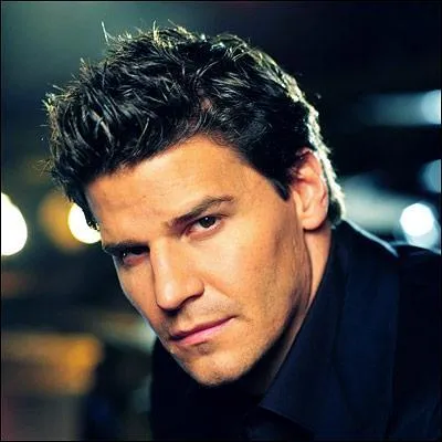 David Boreanaz tient le rle principal. Au cinma, il a jou un mchant garon dans :