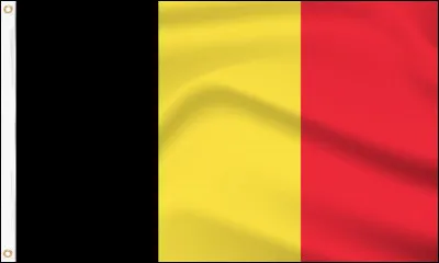 1. Belgique : Il y a deux langues officielles en Belgique. Vrai ou faux ?