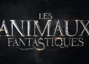 Quiz Top 10 de mes personnages prfr la saga 'Les Animaux Fantastiques'