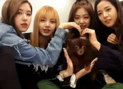 Quiz Blackpink