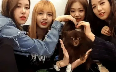 Quiz Blackpink