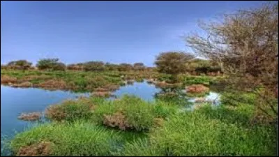 Lequel de ces pays se situe à environ 200 km au nord du Bahreïn ?