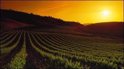 Dans quelle région le Beaujolais est-il situé ?