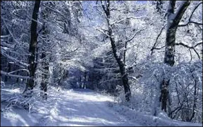 Il a neigé hier, il a peut-être neigé sur Hyères mais ce que je sais c'est qu'"il a neigé sur yesterday". Qui chantait cette neige ?