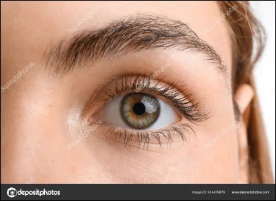 Quelle est ta vraie couleur d'yeux ?