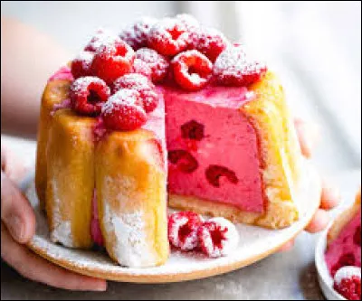 Ce dessert est une charlotte aux framboises.