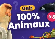 Quiz Connais-tu bien les animaux ?