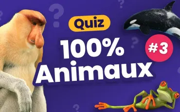 Quiz Animaux