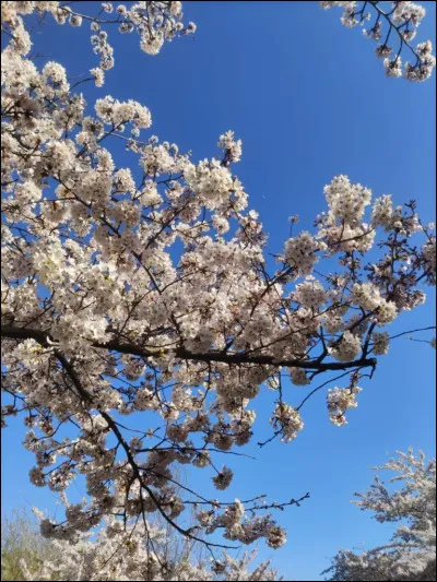 En quelle saison êtes-vous né ?