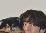 Quiz Yeontan le chien de V de BTS