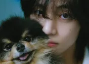 Quiz Yeontan