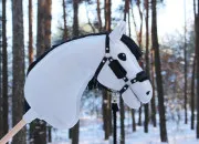 Quiz Le hobby horse, es-tu incollable  ce sujet ?