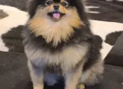 Test Quel fond d'cran de Yeontan est fait pour toi ?