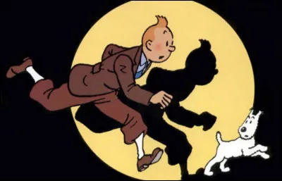 Quel est ce duo vedette de la série "les Aventures de Tintin" ?