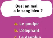 Quiz Dmlez le vrai du faux dans ce quiz tous azimuts !