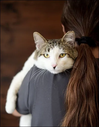 Comment s'appelait Étoile de Feu quand il était chat domestique ?