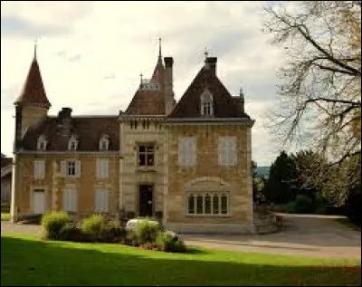 Notre balade dominicale démarre au château d'Ambronay. Village de l'arrondissement de Belley, il se situe en région ...