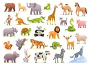 Quiz Les expressions animalires