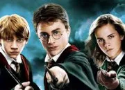 Quiz Les noms de famille dans Harry Potter