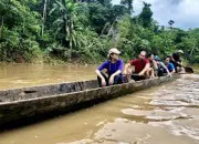 Quiz Balade dans la fort amazonienne