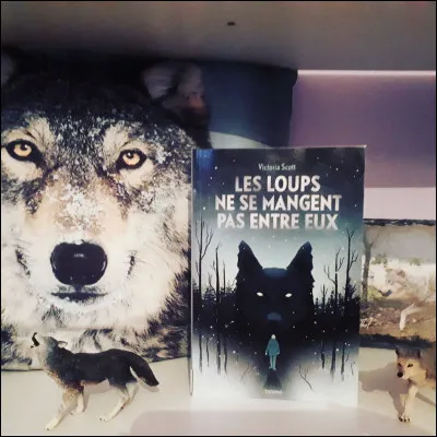 Qui a écrit ce livre ?