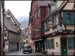 La Grand'Rue traverse toute la ville avec ses maisons  colombages. Aux entres sud et est, deux tours surmontes de nids de cigogne. Une fontaine Renaissance, la place de la Sinne...