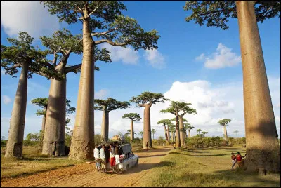 Avec une superficie de 587 000 km2, je suis la quatrième île du monde. Etat insulaire indépendant, rattaché au continent africain, je suis :