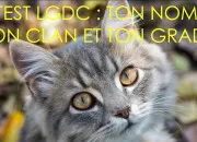 Test LGDC - Ta carte didentit