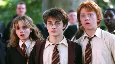 Dans "Harry Potter", comment s'appelle la jeune moldue surdouée ? (Facile)