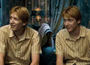 Quiz Quiz sur les jumeaux Weasley