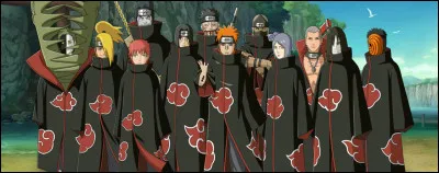 Aimeriez-vous être un membre de L'Akatsuki ?