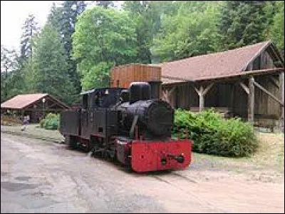 Notre première balade du week-end commence en Lorraine, à bord du train forestier d'Abreschviller. Commune du Pays de Sarrebourg, dans le massif des Vosges, elle se situe dans le département ...