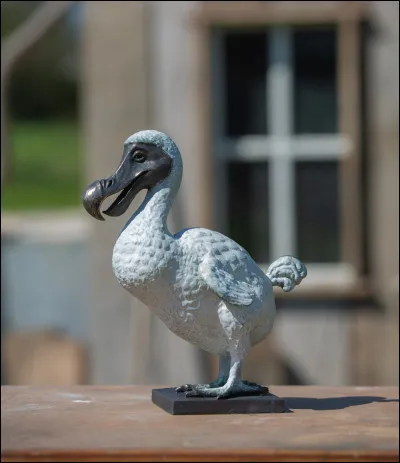 Le DODO est une espèce d'oiseaux endémique de l'île Maurice, disparue depuis le XVIIe siècle.