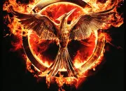 Test Qui es-tu dans ''Hunger Games'' ?